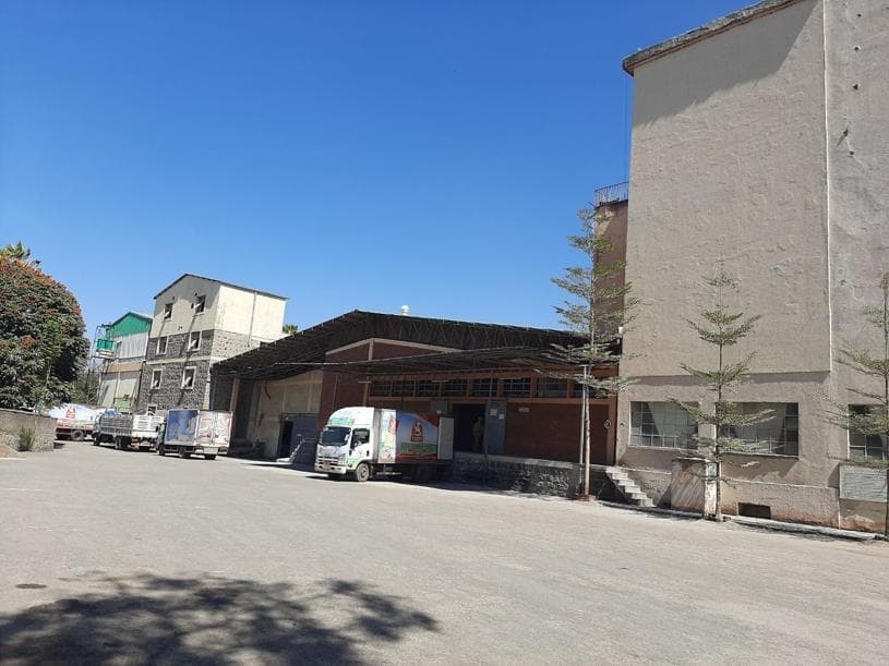 Durum Wheat Silos
